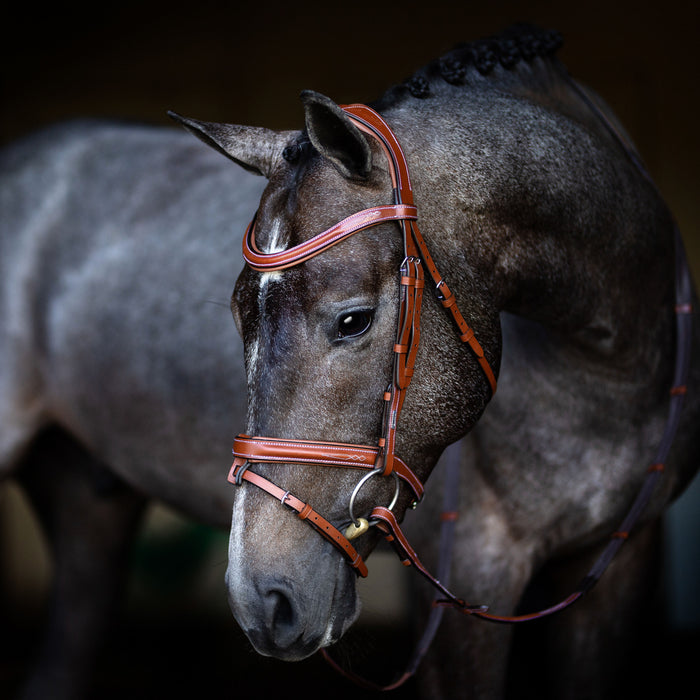 Milan Italian Leather Bridle (Convertible) (No reins)