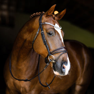 Amie Rolled Italian Leather Bridle (Hanoverian) - Brown
