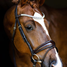 Load image into Gallery viewer, Amie Rolled Italian Leather Bridle (Hanoverian) - Brown