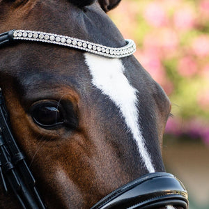 Amie Rolled Italian Leather Bridle - (Double)