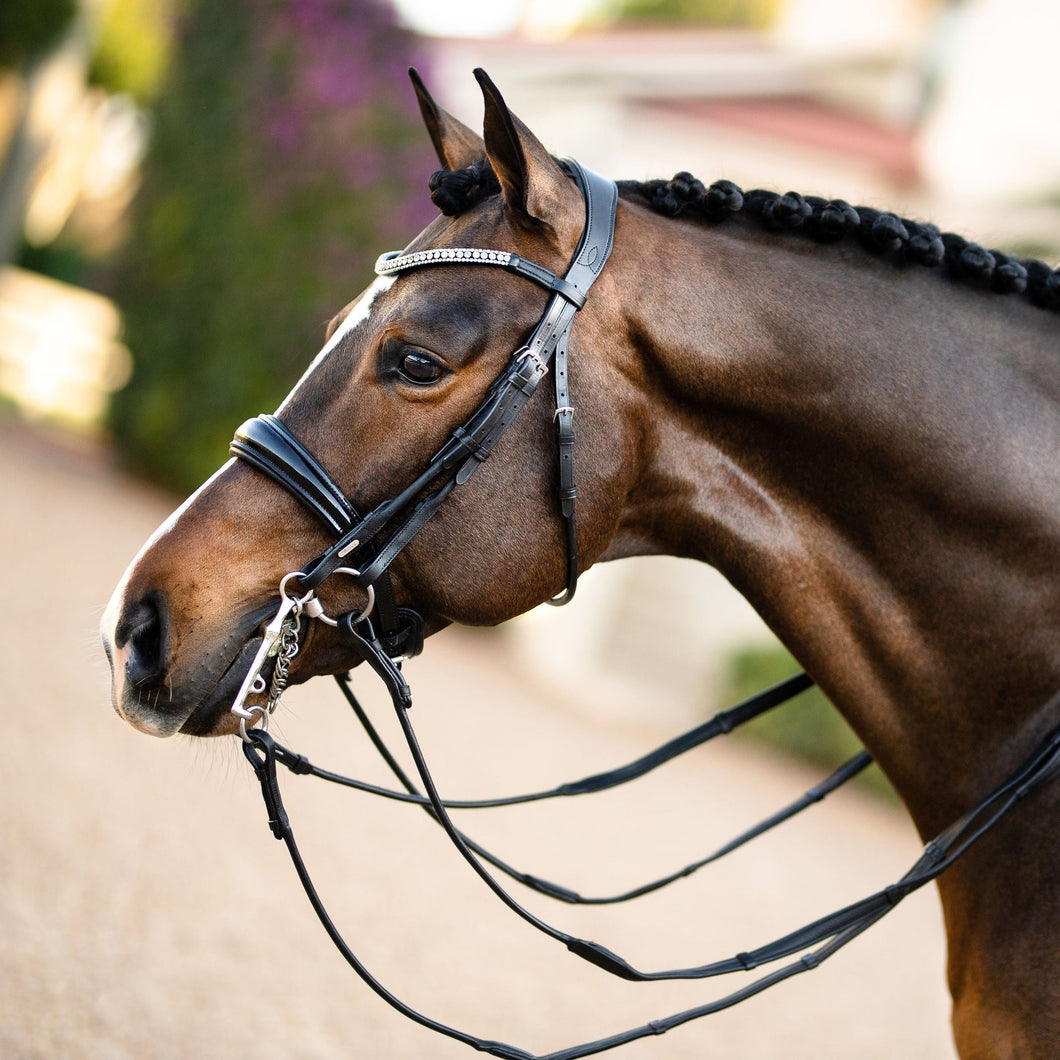 Amie Rolled Italian Leather Bridle - (Double)