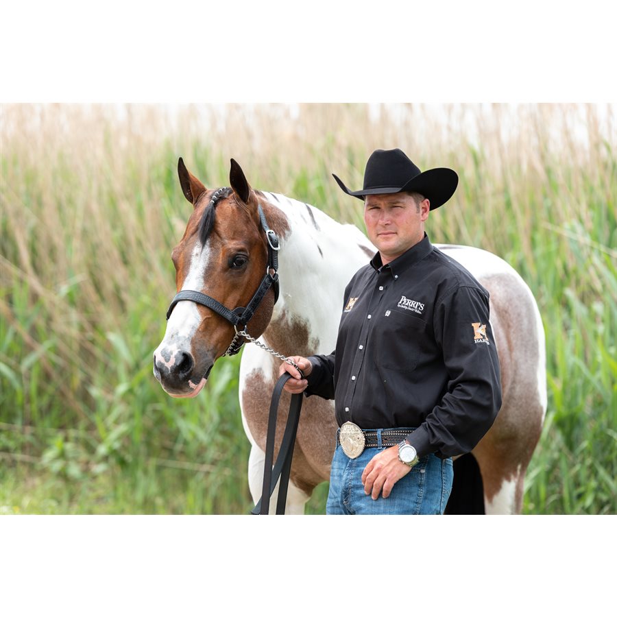 Western Crocodile Embossed Leather Show Halter