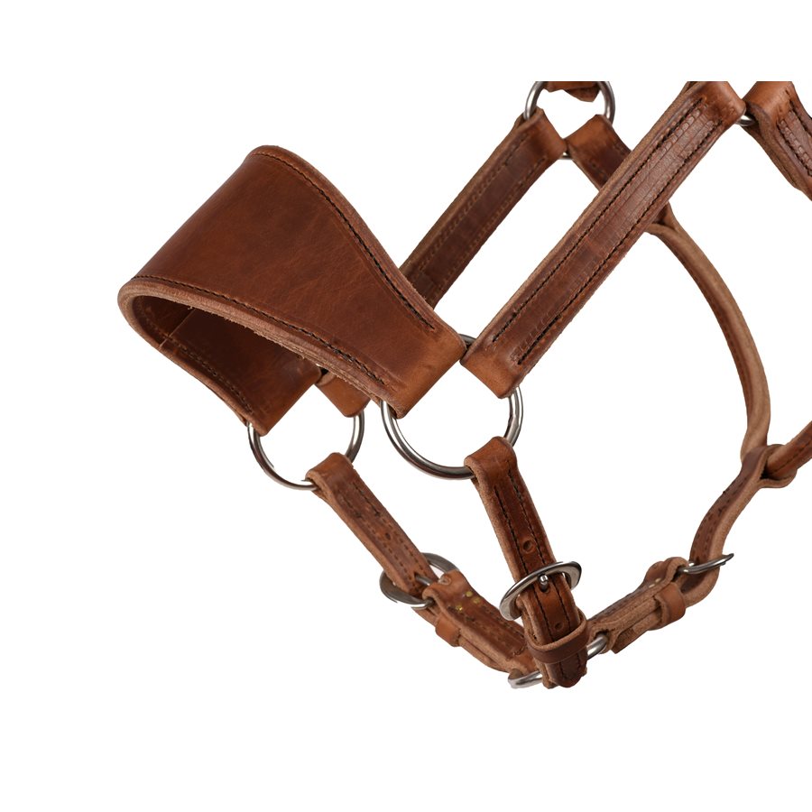 Leather Ranch Halter - Full Size