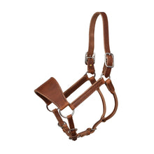 Load image into Gallery viewer, Leather Ranch Halter - Full Size