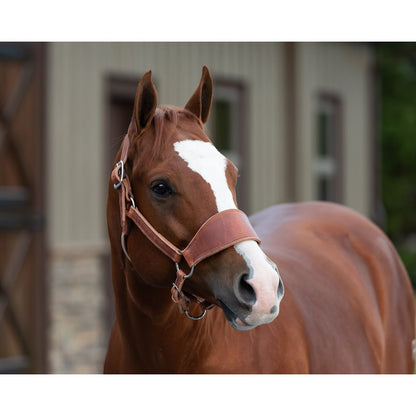 Leather Ranch Halter - Full Size