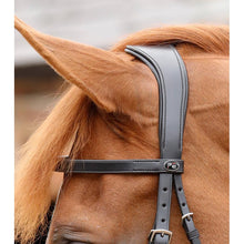 Load image into Gallery viewer, Primo Hunter Bridle (No reins)