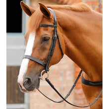 Load image into Gallery viewer, Primo Hunter Bridle (No reins)