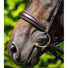 Load image into Gallery viewer, Verdura Anatomic Snaffle Bridle (No reins)