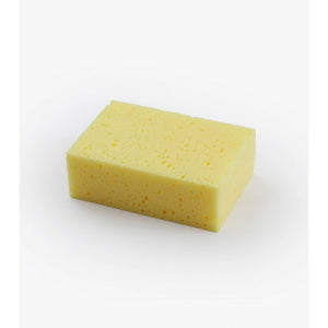 Quick-Soak Sponge