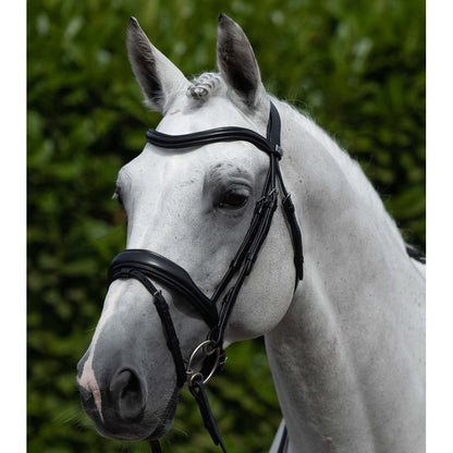 Rizzo Anatomic Snaffle Bridle (No reins)