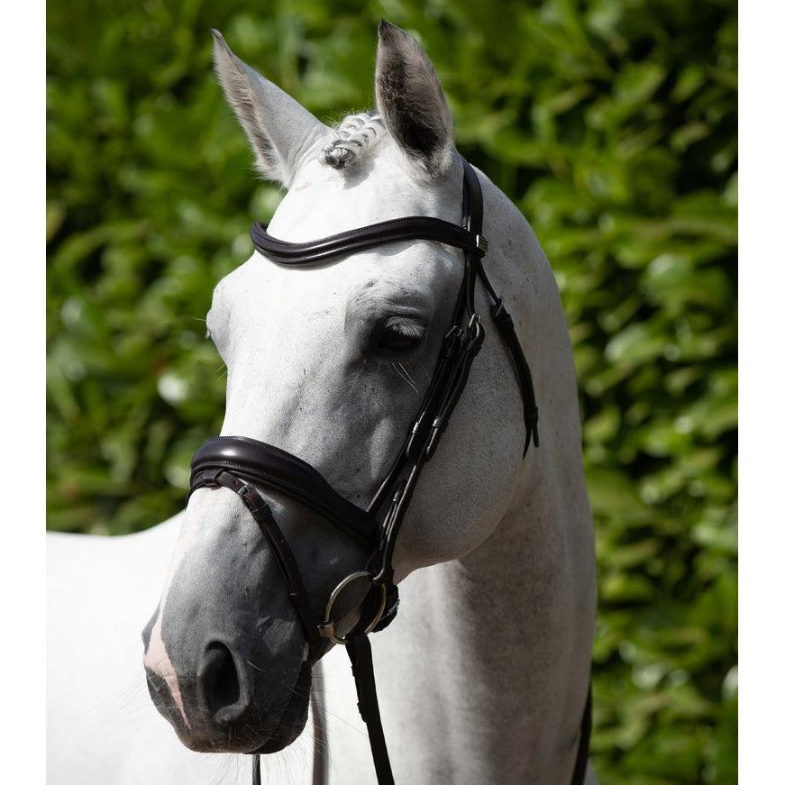 Rizzo Anatomic Snaffle Bridle (No reins)