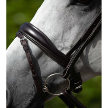 Load image into Gallery viewer, Rizzo Anatomic Snaffle Bridle (No reins)