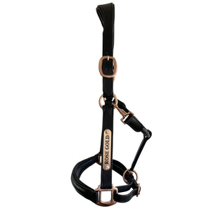 Black Leather Halter - Rose Gold Fittings with Engraved Horse Nameplate