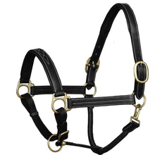 Load image into Gallery viewer, Triple Stitched Padded Leather Halter