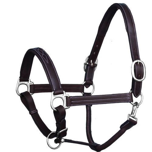Triple Stitched Padded Leather Halter