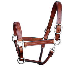 Load image into Gallery viewer, Triple Stitched Padded Leather Halter