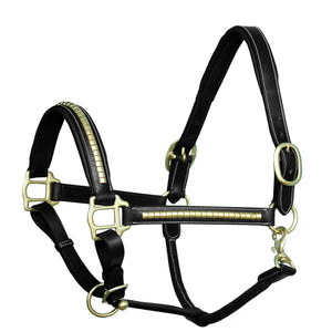 Clincher Padded Leather Halter
