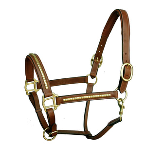 Clincher Padded Leather Halter