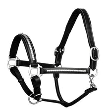 Load image into Gallery viewer, Clincher Padded Leather Halter