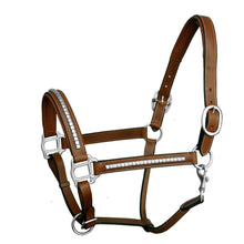 Load image into Gallery viewer, Clincher Padded Leather Halter