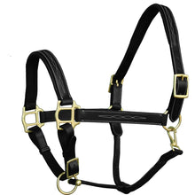 Load image into Gallery viewer, Fancy Stitch Padded Leather Halter