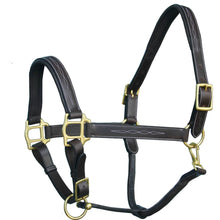 Load image into Gallery viewer, Fancy Stitch Padded Leather Halter