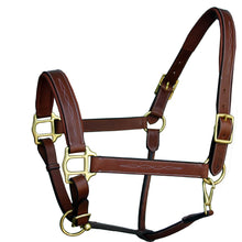 Load image into Gallery viewer, Fancy Stitch Padded Leather Halter