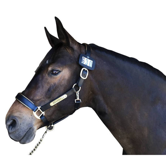 Leather Halter Number Holders (Pair)