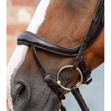 Load image into Gallery viewer, Savuto Anatomic Bridle with Crank Noseband &amp; Flash (No reins)