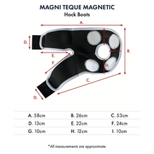 Load image into Gallery viewer, Magni-Teque Magnetic Hock Boots