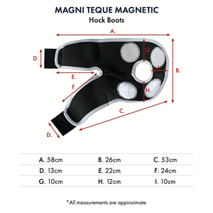 Magni-Teque Magnetic Hock Boots