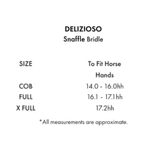 Load image into Gallery viewer, Delizioso Hanoverian Bridle (No reins)
