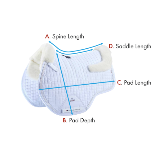 Capella Close Contact Merino Wool GP/Jump Square