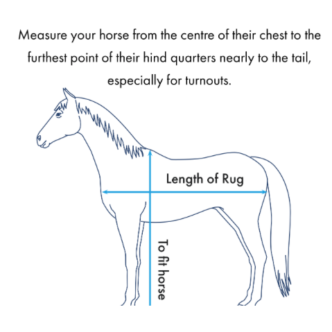Buster 70g Turnout Rug with Classic Neck Cover