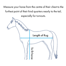 Load image into Gallery viewer, Combo Horse Stable Sheet