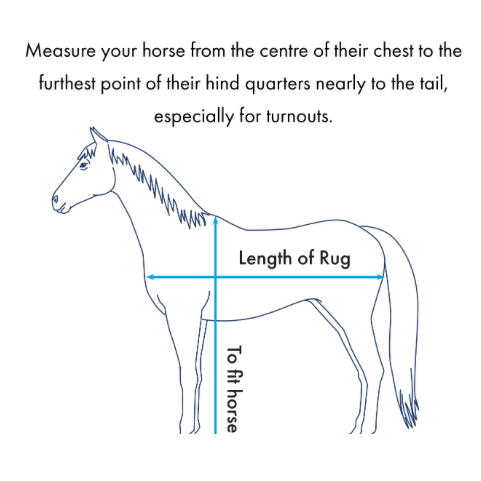 Buster Hardy 200g Half Neck Turnout Rug