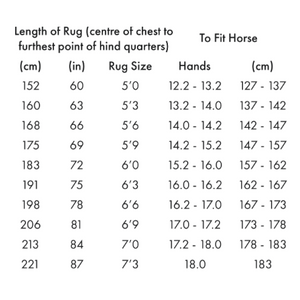 Combo Stable Rug 200g