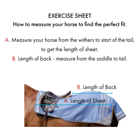 Stratus Horse Exercise Sheet
