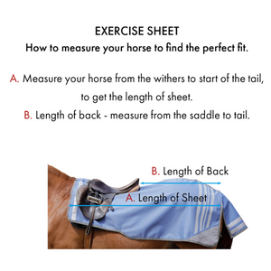 Stratus Horse Exercise Sheet