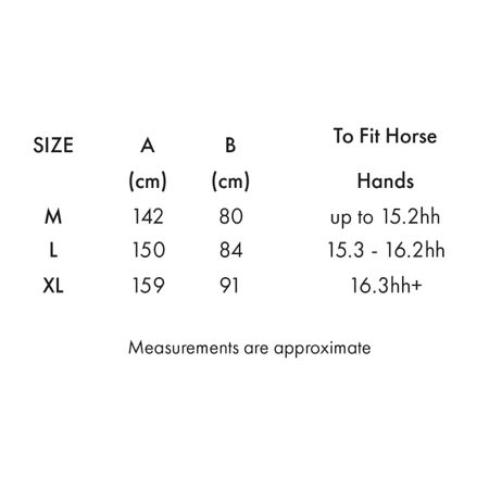Stratus Horse Exercise Sheet