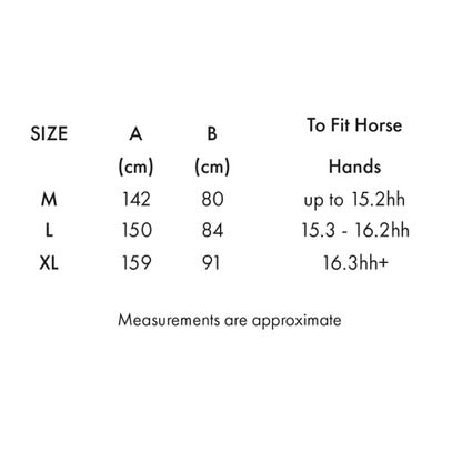Stratus Horse Exercise Sheet