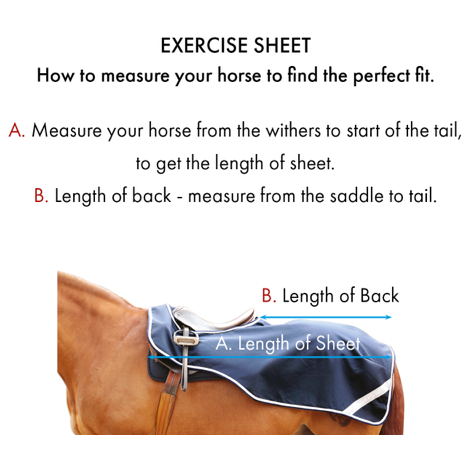 Horse Exercise Sheet