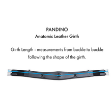 Load image into Gallery viewer, Pandino Anatomic Leather Girth