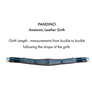 Pandino Anatomic Leather Girth