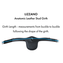 Load image into Gallery viewer, Lizzano Anatomic Leather Stud Girth