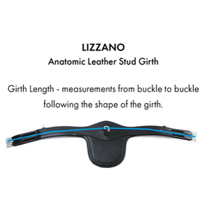 Lizzano Anatomic Leather Stud Girth