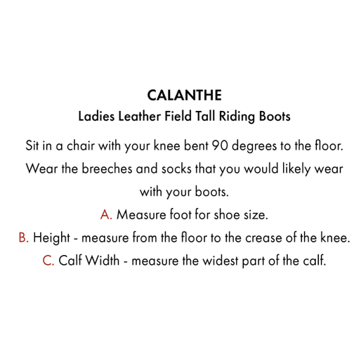 Calanthe Ladies Leather Field Tall Riding Boot