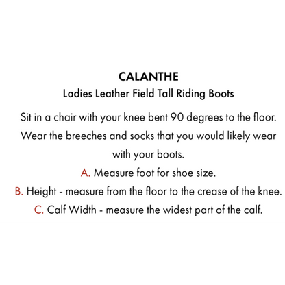Calanthe Ladies Leather Field Tall Riding Boot