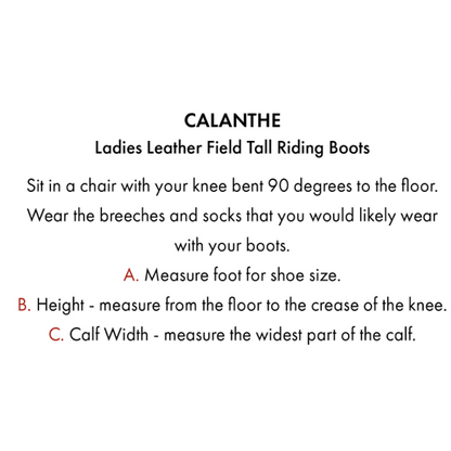 Anima Ladies Synthetic Field Tall Riding Boot