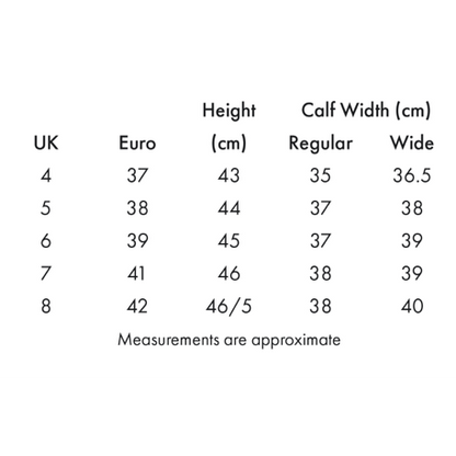 Anima Ladies Synthetic Field Tall Riding Boot